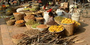 http://www.freetrek.it/Immagini/Mercato%20a%20Patan.jpg
